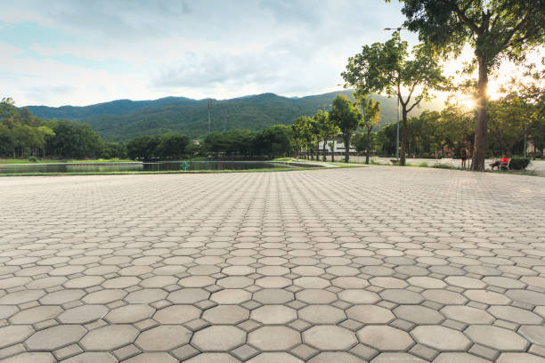 Best Professional Driveway Pavers  in Lake Lotawana, MO